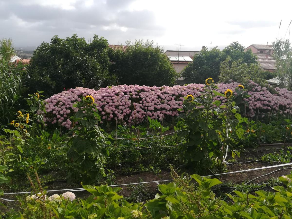 Affitta Camere Casa Delle Rose Villanova Monteleone Zewnętrze zdjęcie