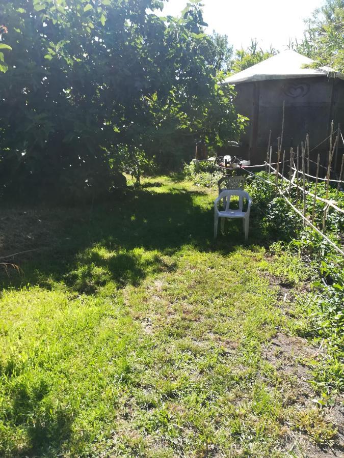 Affitta Camere Casa Delle Rose Villanova Monteleone Zewnętrze zdjęcie